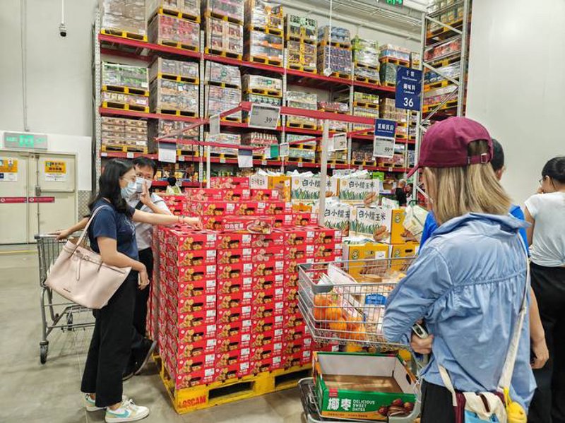家居用品批发行业风向标：2023年市场趋势前瞻